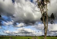 开云体育:2017年11月9日以来,荷兰首发阵容首次无荷甲球员.