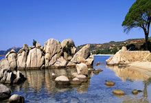 R.I.P. 黑山前国脚德利巴西奇因病去世,年仅43岁.